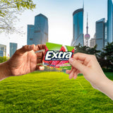 Watermelon Sugar Free Chewing Gum, 15 Ct (3 Pack)