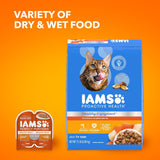 Healthy Enjoyment Dry Cat Food Chicken & Salmon Recipe, 3 Lb. Bag