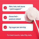 Vital Proteins Collagen Peptides Powder, Limited Edition Ice Pop, 26.3 Oz.
