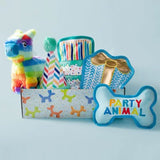 Party Animal Birthday Box Dog Toy Bundle, 5-Piece Set Blue