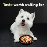 Simply Crafted Adult Wet Dog Food Meal Topper, Chicken, 1.3 Oz. (10 Count, Pack of 1)