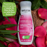 Pampering Wild Rose Body Lotion, Plant Rich Moisturizer with Wild Rose Oil, Jojoba Oil and Shea Butter, 6.8 Fl Oz (Pack of 1)