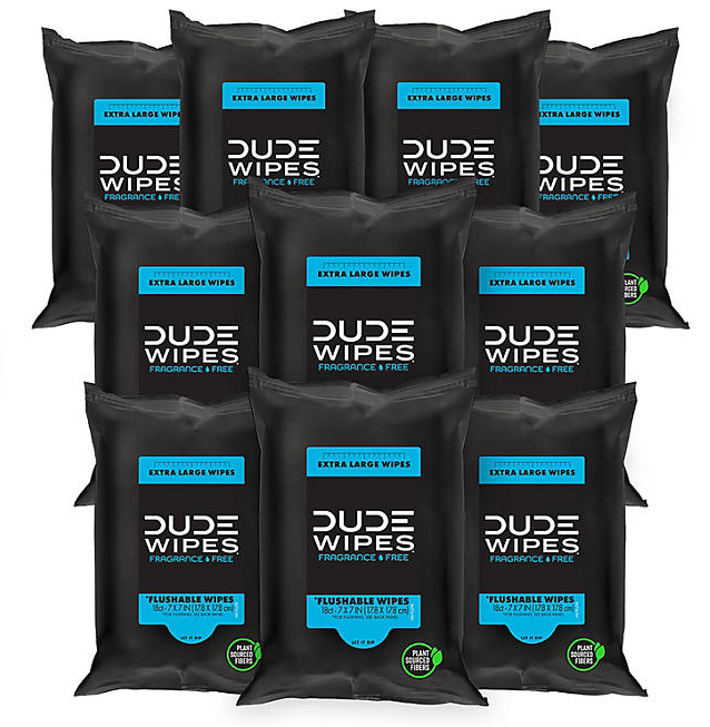 DUDE WIPES XL Travel Flushable Wipes, 10 ct., 180 wipes
