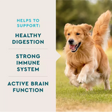 VETIQ Multivitamin Soft Dog Chews, Hickory Smoke Flavored 60 ct., 2 pk.