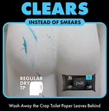 DUDE WIPES XL Travel Flushable Wipes, 10 ct., 180 wipes