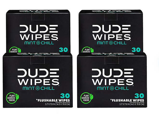 DUDE WIPES XL On-the-Go Flushable Wipes, Mint Chill, 4 ct., 120 wipes