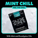 DUDE WIPES XL On-the-Go Flushable Wipes, Mint Chill, 4 ct., 120 wipes
