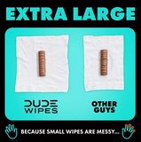DUDE WIPES XL On-the-Go Flushable Wipes, Mint Chill, 4 ct., 120 wipes