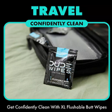 DUDE WIPES XL On-the-Go Flushable Wipes, Mint Chill, 4 ct., 120 wipes