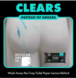 DUDE WIPES XL On-the-Go Flushable Wipes, Mint Chill, 4 ct., 120 wipes