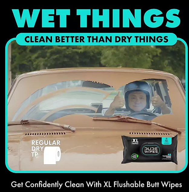DUDE WIPES XL On-the-Go Flushable Wipes, Mint Chill, 4 ct., 120 wipes