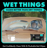 DUDE WIPES XL On-the-Go Flushable Wipes, Mint Chill, 4 ct., 120 wipes