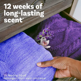Downy Infusions In-Wash Scent Booster Beads, CALM Lavender+Vanilla Bean, 39.9 oz.