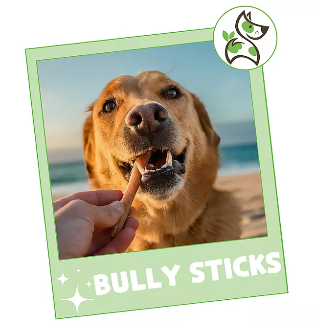 Nature Gnaws, Beef Bully Sticks Dog Chews, 1.3 lbs.
