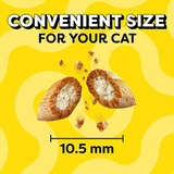 TEMPTATIONS Cat Treats Variety Pack with Tasty Chicken Flavor, Catnip Fever, & Surfers' Delight, 16 oz., 3 tubs