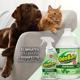 OdoBan Disinfectant & Odor Eliminator, Eucalyptus 1 gal. concentrate + 32 oz. Ready-to-Use Spray