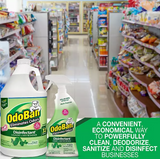 OdoBan Disinfectant & Odor Eliminator, Eucalyptus 1 gal. concentrate + 32 oz. Ready-to-Use Spray