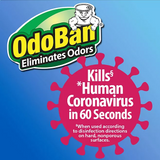 OdoBan Disinfectant & Odor Eliminator, Eucalyptus 1 gal. concentrate + 32 oz. Ready-to-Use Spray