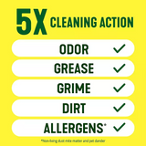 Pine-Sol Multi-Surface Cleaner, Pine Scent, 2 ct., 120 fl. oz.