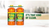 Pine-Sol Multi-Surface Cleaner, Pine Scent, 2 ct., 120 fl. oz.