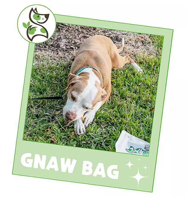 Nature Gnaws Dog Chews, Variety Pack, 19.2 oz., 18 ct.
