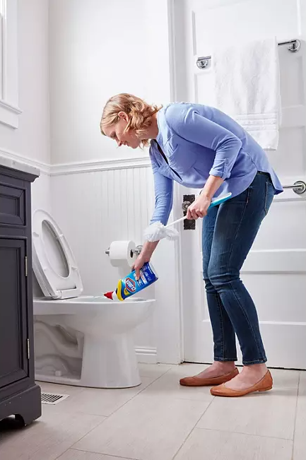 Clorox Toilet Bowl Cleaner with Bleach, Rain Clean, 6pk., 144 fl. oz.