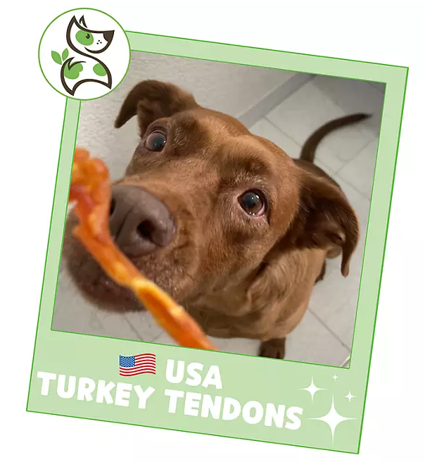 Nature Gnaws, USA Turkey Tendons Natural Dog Chews, 12 oz.