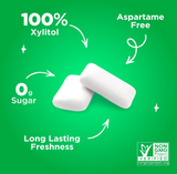 PUR Gum | Aspartame Free Chewing Gum | 100% Xylitol | Natural Spearmint Flavored Gum, 55 Pieces (Pack of 1)
