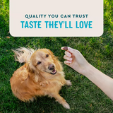 VETIQ Advanced Hip & Joint Soft Dog Chews, Chicken Flavored 60 ct., 2 pk.