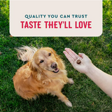 VETIQ 8-In-1 Multi-Benefit Soft Dog Chews, Hickory Smoke Flavored 60 ct., 2 pk.