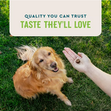 VETIQ Probiotic Soft Dog Chews, Hickory Smoke Flavored 60 ct., 2 pk.