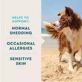 VETIQ Skin & Coat Soft Dog Chews, Hickory Smoke Flavored, 60 ct., 2 pk.