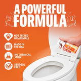 Toilet Tamer Bathroom Spray - Citrus Orange Spice - 6 Oz
