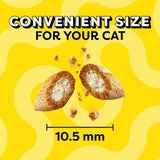 Mixups Backyard Cookout Flavor Crunchy and Soft Cat Treats, 30 Oz. Tub