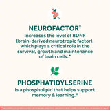 Neuriva Original Brain Health Supplement Capsules, 45 Ct.