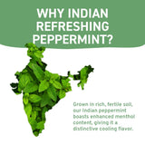 , Peppermint Tea, Eco-Conscious Tea Bags - 100 Count | Caffeine Free, Non-Gmo | Minty, Fresh & Cool Flavor | Direct from Source