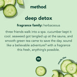 Body Wash, Daily Zen, Paraben and Phthalate Free, 18 Oz (Pack of 1), Detoxifying