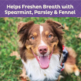 Wellness Minty Fresh Breath Dog Biscuits, Natural, Training Treats, Spearmint, Parsley, Oats, & Chicken Flavor, Mini Size, (20 Ounce Bag)