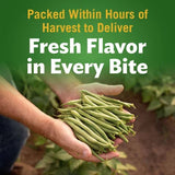Del Monte Fancy Cut Green Beans, 101 Oz.