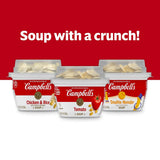 Double Noodle Soup with Original Goldfish Crackers, 7.35 Oz Microwavable Bowl