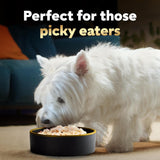 Simply Crafted Adult Wet Dog Food Meal Topper, Chicken, 1.3 Oz. (10 Count, Pack of 1)