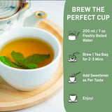 , Peppermint Tea, Eco-Conscious Tea Bags - 100 Count | Caffeine Free, Non-Gmo | Minty, Fresh & Cool Flavor | Direct from Source
