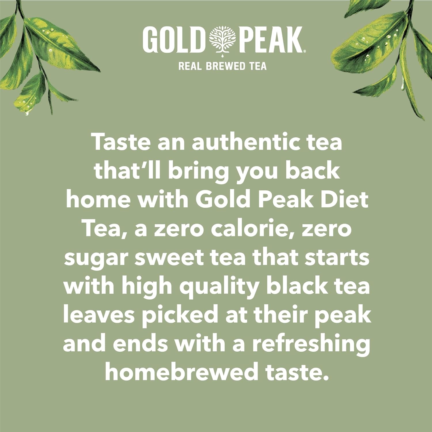 Tea, Diet Tea, 16.9 Fl Oz, 6 Pack