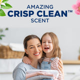 Clean & Simple, 77 Loads Liquid Laundry Detergent, 100.5 Fl Oz