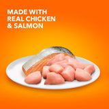 Healthy Enjoyment Dry Cat Food Chicken & Salmon Recipe, 3 Lb. Bag