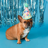 Party Animal Birthday Box Dog Toy Bundle, 5-Piece Set Blue