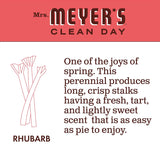 Hand Soap, Made with Essential Oils, Biodegradable Formula, Rhubarb, 12.5 Fl. Oz